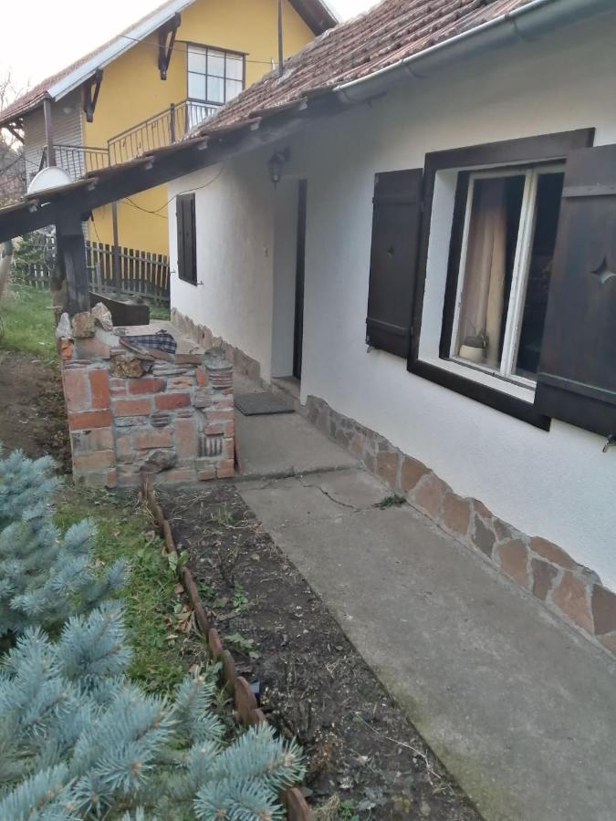 Apartman Nebojsa Rudnik Eksteriør bilde