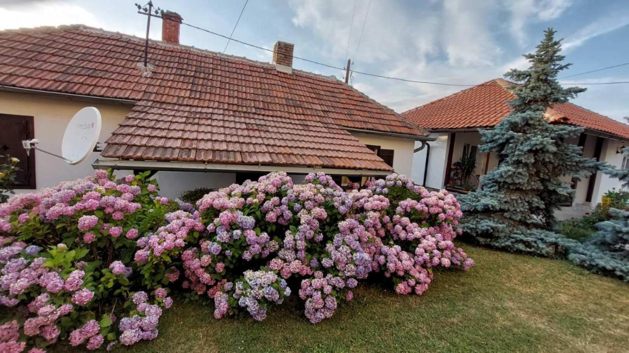 Apartman Nebojsa Rudnik Eksteriør bilde