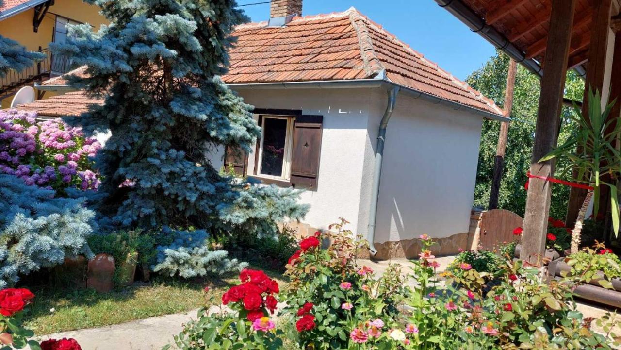Apartman Nebojsa Rudnik Eksteriør bilde