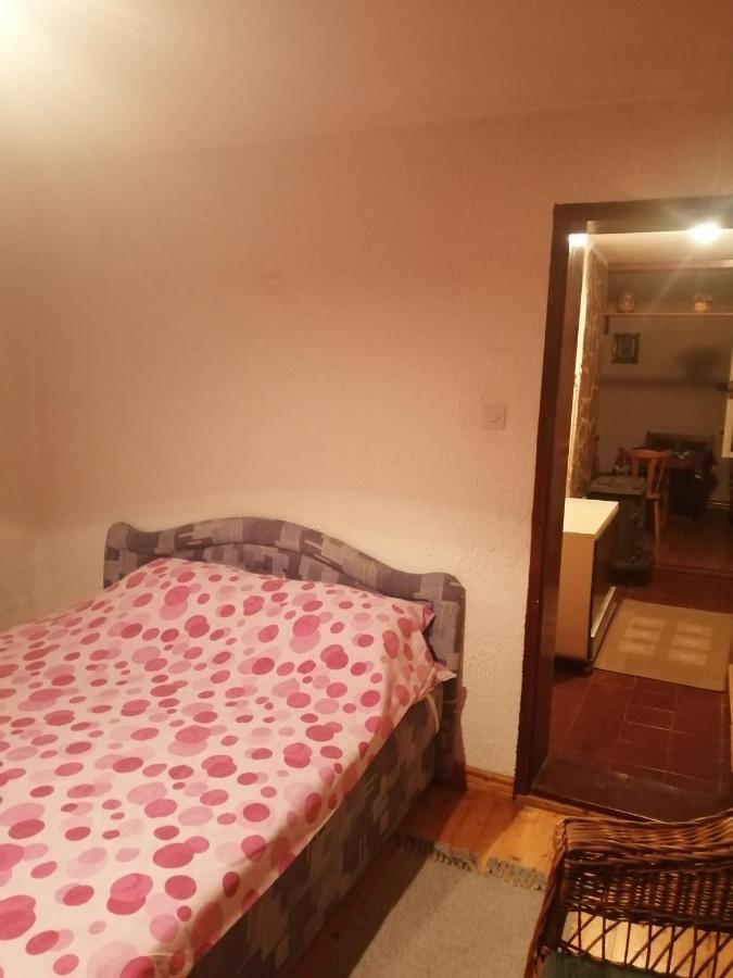 Apartman Nebojsa Rudnik Eksteriør bilde