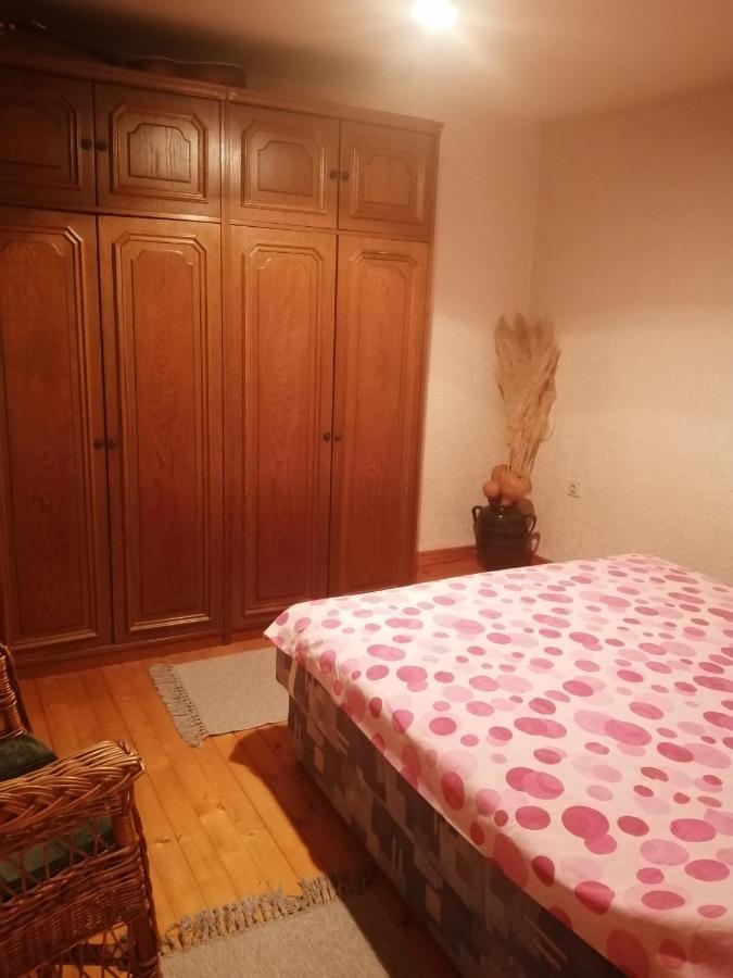 Apartman Nebojsa Rudnik Eksteriør bilde